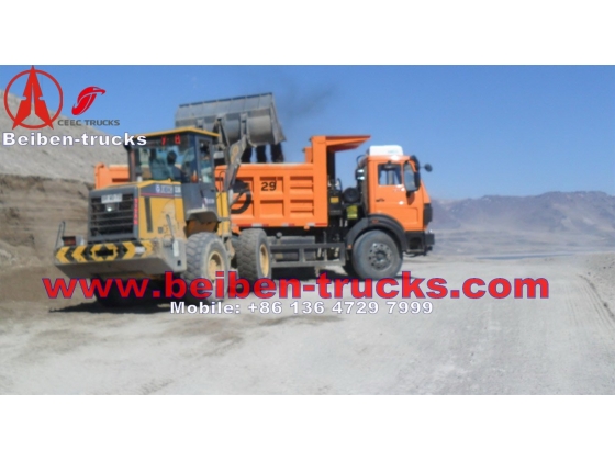 China Beiben power star 25ton lorry truck RHD tipper lorry supplier