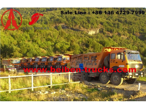 china Congo north benz 2534 dumper supplier