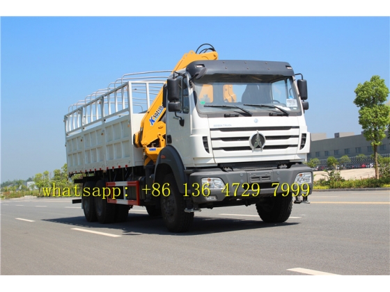 congo beiben NG80B cargo truck chassis